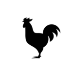 chicken_transp